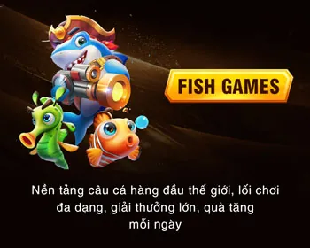 Giấy phép hoạt động và quy định chặt chẽ